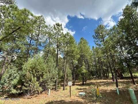 2340 Pinegrass Road, Show Low, AZ 85901