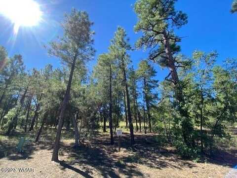2360 Pinegrass Road, Show Low, AZ 85901