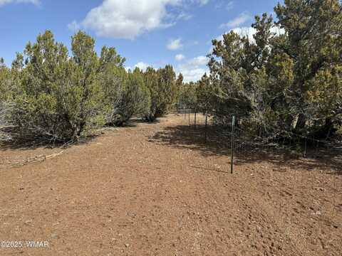 3187 TBD, Vernon, AZ 85940