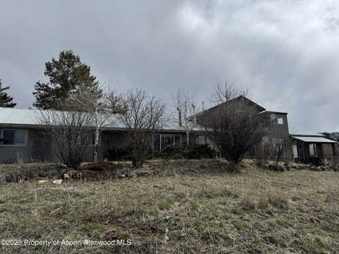 247 DEER TRAIL Avenue, Carbondale, CO 81623