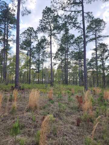 Lot 43 Pasture Creek Lane, Aiken, SC 29803