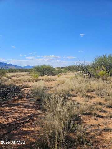 Tbd 8 Ac's Off Desert Sumac --, Hereford, AZ 85615