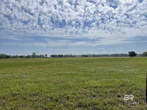 18607 Kendrick Road, Robertsdale, AL 36567