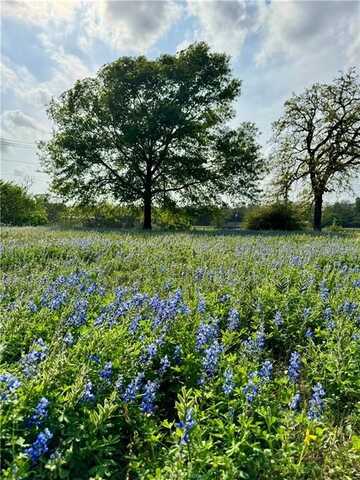 15420 Arhopulos Road, College Station, TX 77845