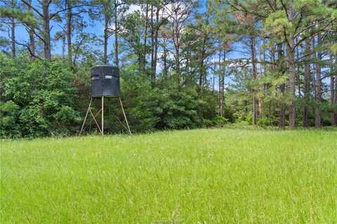 Tbd St Delight (Tracts 11 & 12) Road, Paige, TX 78659