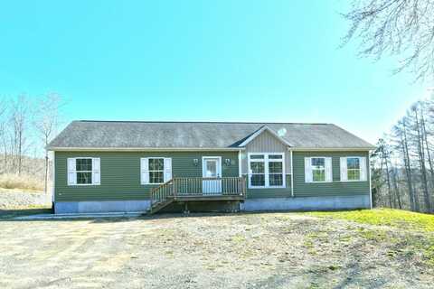 516 Wright Road, Candor, NY 13743