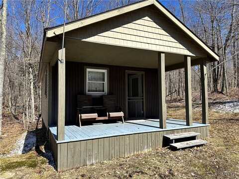 13477 Power Line Drive, Diana, NY 13648