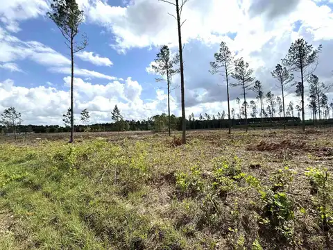 0 Grant County Road 9 (C), Sheridan, AR 72150