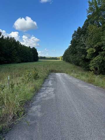 45.85 acres Hwy 141, Jonesboro, AR 72401
