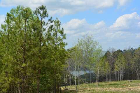 Birds Eye Way lot: 1099, Guild, TN 37340