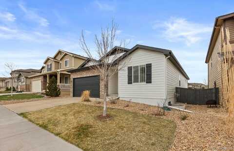 4391 Mcmurdo Court, Castle Rock, CO 80108
