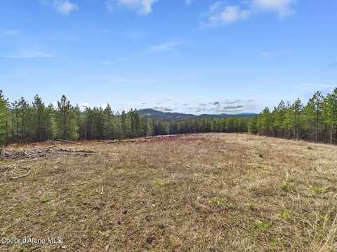 20 Acres S Hwy 3, Saint Maries, ID 83861
