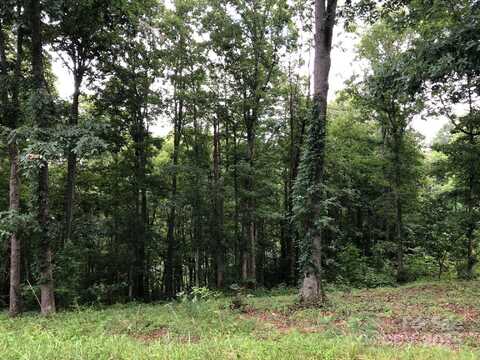 45 Sweet Fern Parkway unit: 43, Asheville, NC 28804
