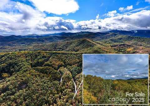 99999 Caddis Lane unit: 91, Mills River, NC 28742