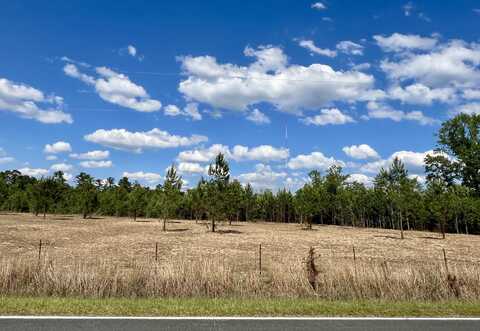 1 Second Texas Road, Saint George, SC 29477