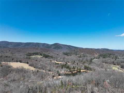 48.08 Acres (Off Of) Blueberry Lane, Patrick Springs, VA 24133