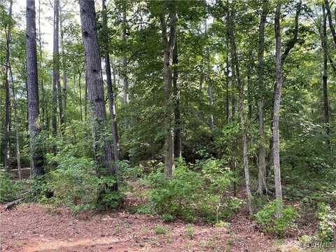 Two Rivers Trail, Lanexa, VA 23089
