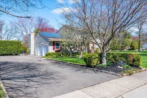 3 Nepote Pl, Franklin, NJ 08873