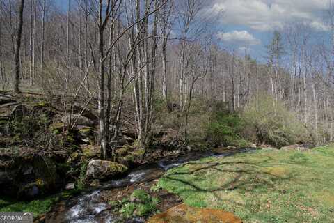 1112 Beech Creek Road, Robbinsville, NC 28771
