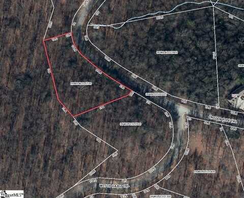 Indian Pipe Trail, Landrum, SC 29356