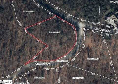 Witch Hazel Trail, Landrum, SC 29356