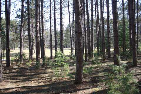 On PINE GROVE CR, Minocqua, WI 54548