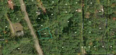 Merrill Township, Bitely, MI 49309