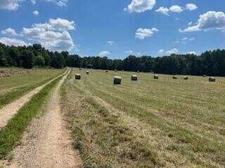 14953 County Road 615, Birch Tree, MO 65438