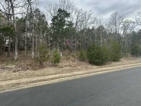 000 Royal Dornoch Drive, Branson, MO 65616