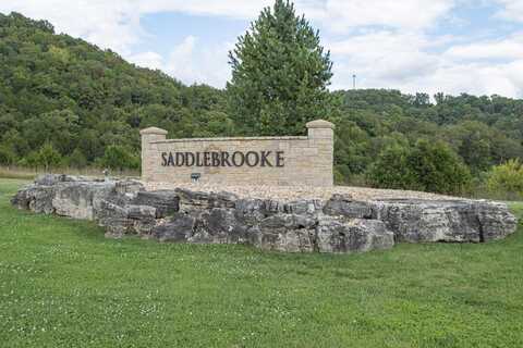 132 & 133 Seven Pines Drive, Saddlebrooke, MO 65630