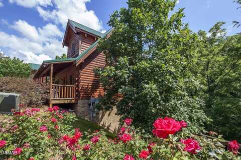 3416 Merlin Way, Pigeon Forge, TN 37863