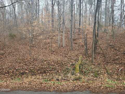Tbd Keystown Road, Luttrell, TN 37779