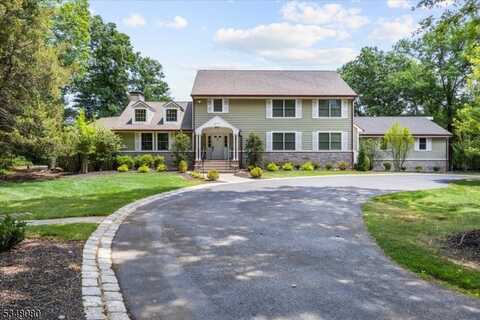 12 Laomatong Way, Bedminster, NJ 07921