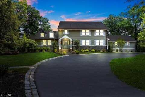 12 Laomatong Way, Bedminster, NJ 07921