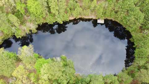 220 CR 4564, Winnsboro, TX 75494