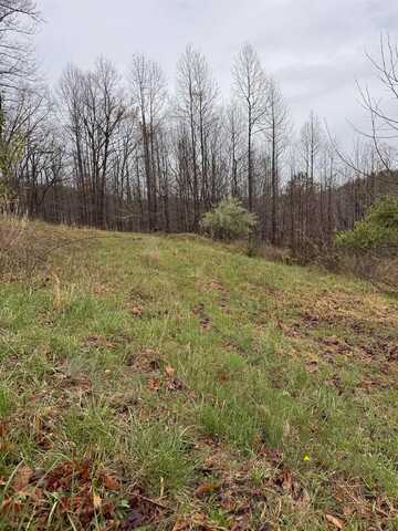1008 Stonehaven Ct, Scott Depot, WV 25560