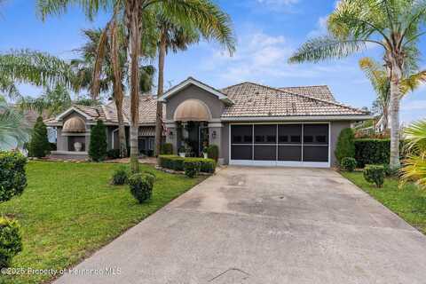 8200 Rhanbuoy Road, Spring Hill, FL 34606