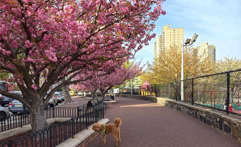 6600 BLVD EAST, West New York, NJ 07093