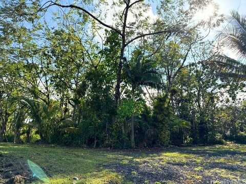 0 Pahoa Kalapana Road, Pahoa, HI 96778
