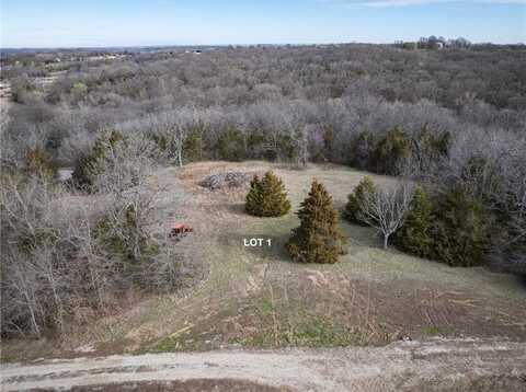 1505 S Buckner Tarsney Road, Buckner, MO 64016