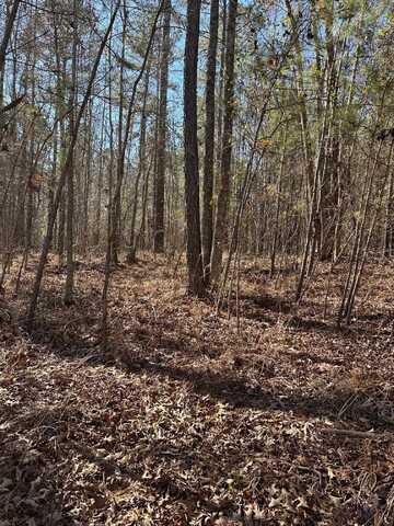 673 PARHAM DRIVE, Milledgeville, GA 31061