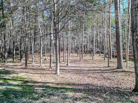 1050 CENTENNIAL POST LANE, Greensboro, GA 30642