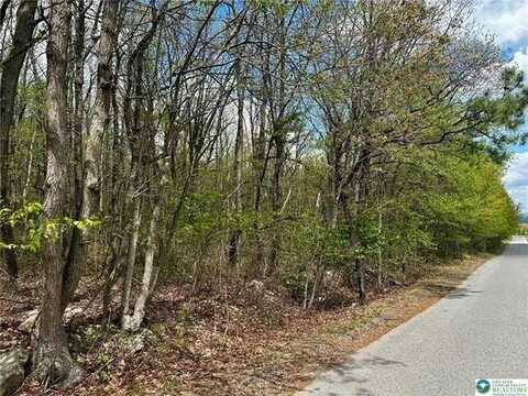 East Mountain Top Road, Summit Hill, PA 18250