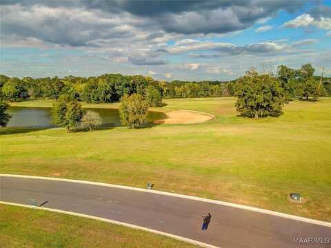 Lot 28 Hidden Oaks Avenue, Pike Road, AL 36064