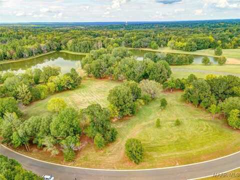 Hidden Oaks Avenue lot: 42, Pike Road, AL 36064