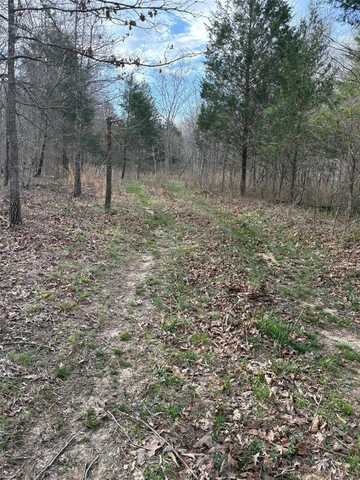 702 BCR, Glenallen, MO 63751