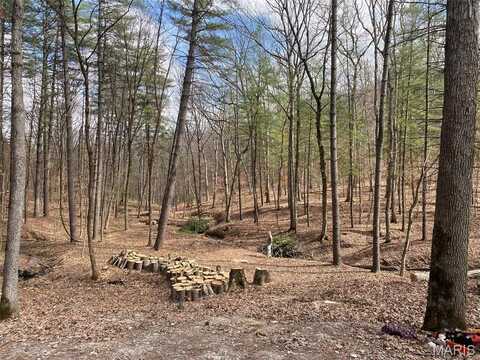 1400 Timber Valley Court, Pacific, MO 63069