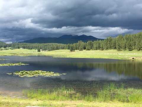227 Paddy Flat Road, McCall, ID 83638