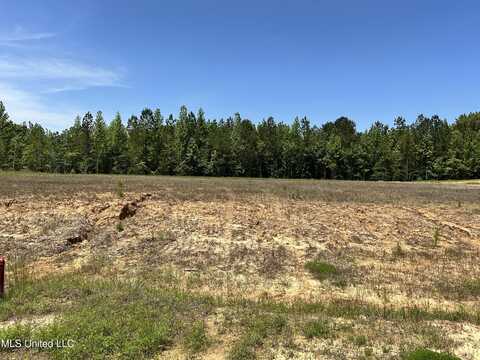 39 Deerwood Drive, Lake Cormorant, MS 38641