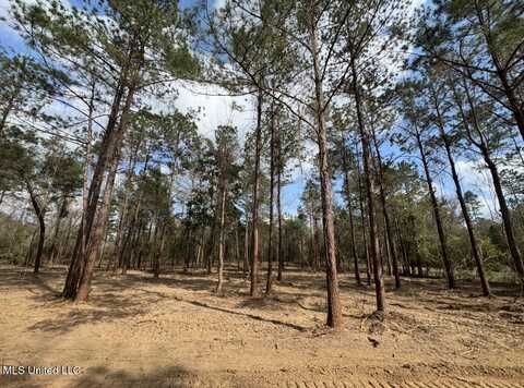 Nhn E Wire East Road, Perkinston, MS 39573
